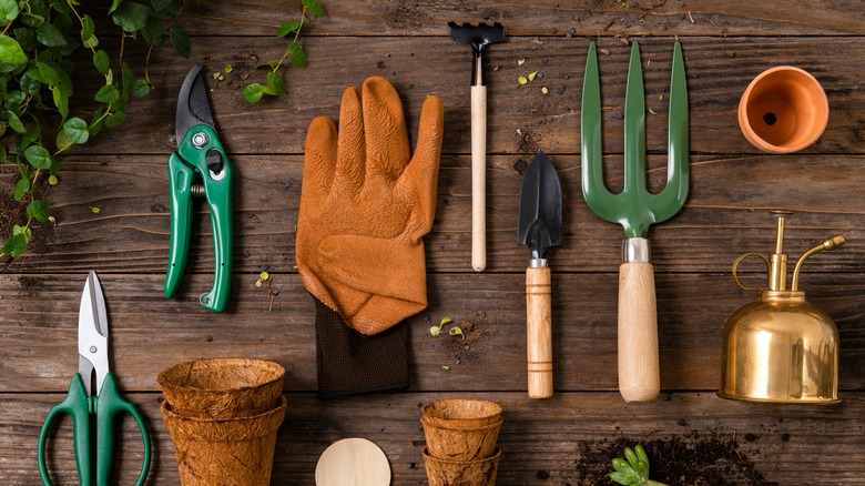 array of garden tools