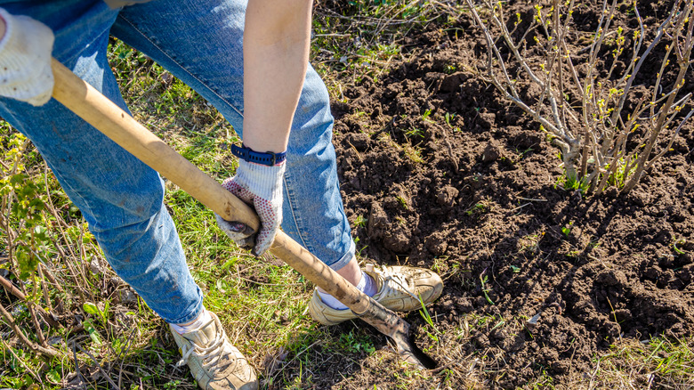 woman digging hole