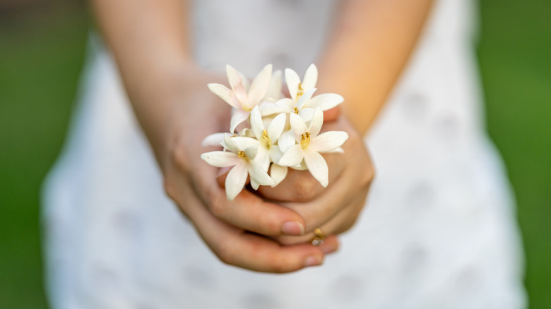 girl holding Jasmine flowers 