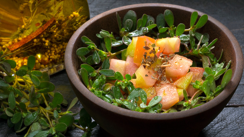 Portulaca greens for salad