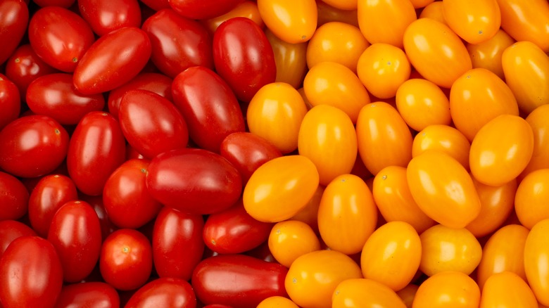 Red and yellow roma tomatoes