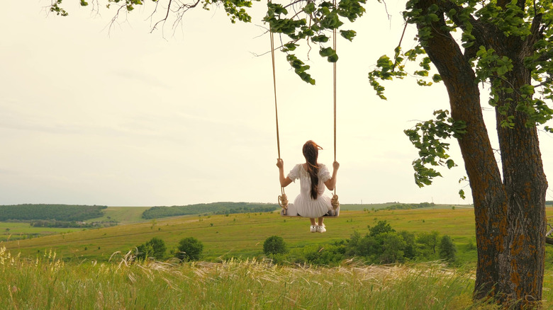 child on a tree swing