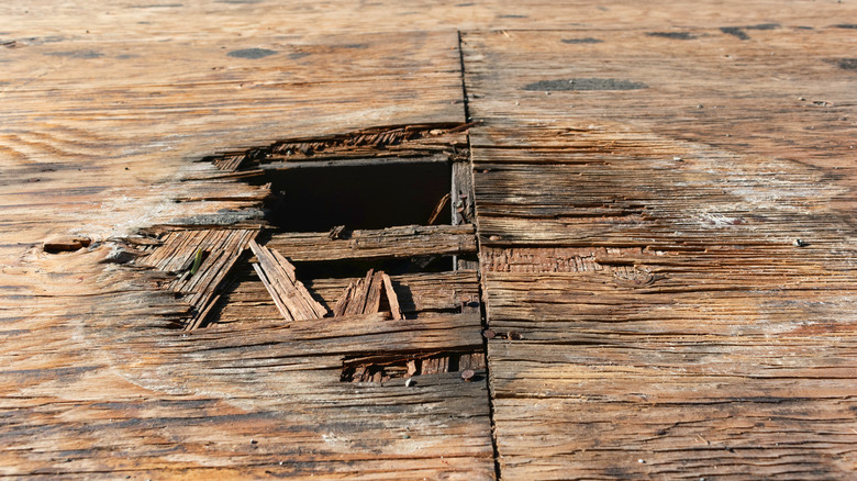 Crumbling wood floor