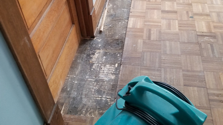 Removal and drying of floor