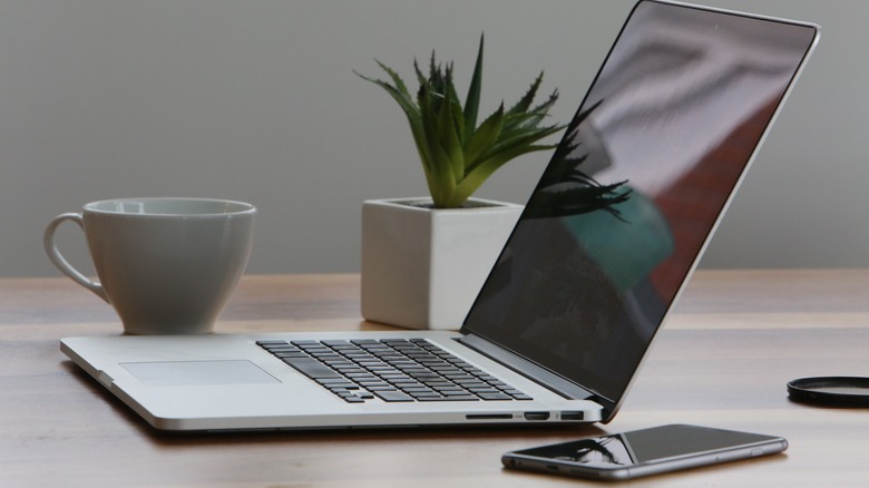 Laptop on table  small plant