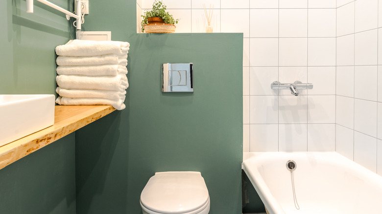 Green and white hue bathroom