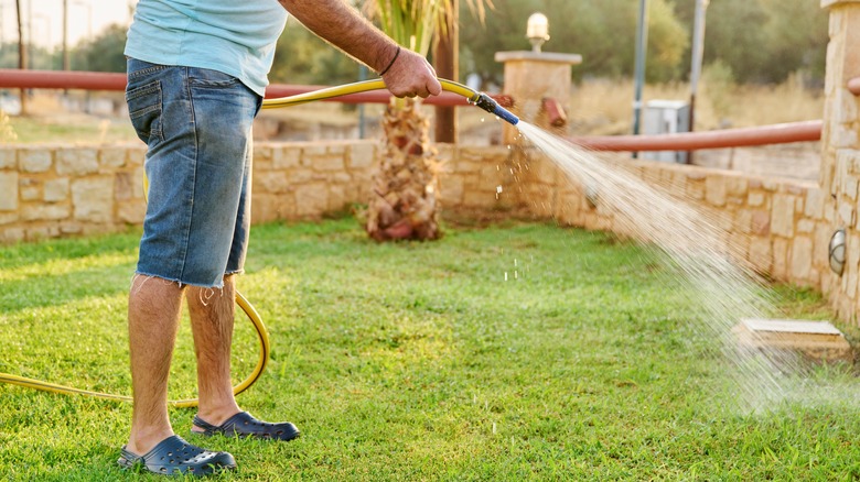Person watering lawn with hose