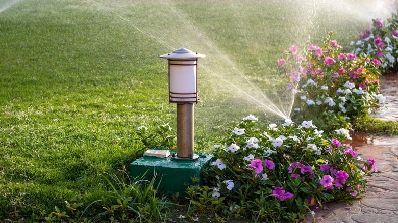 Sprinkler watering lawn and flowers