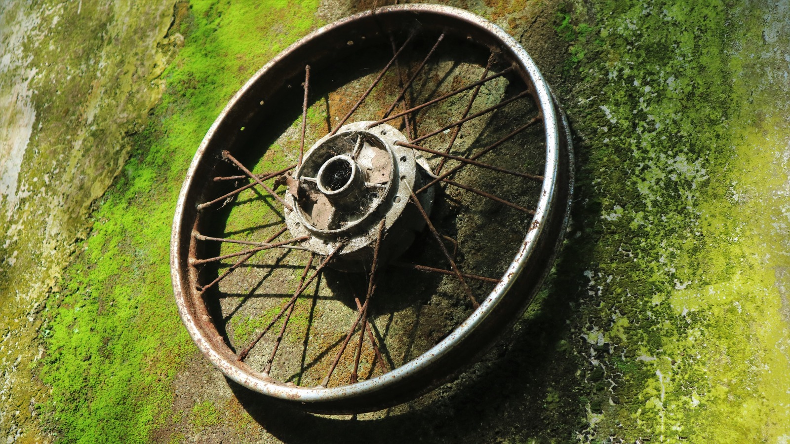 Old store bicycle wheel