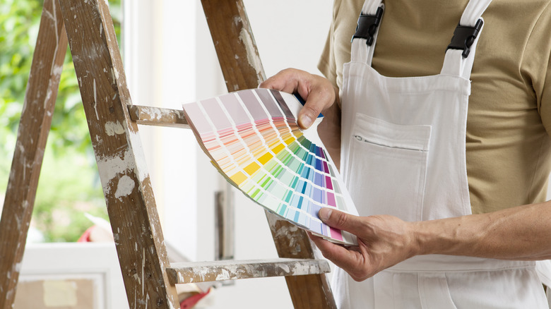 person choosing paint near ladder