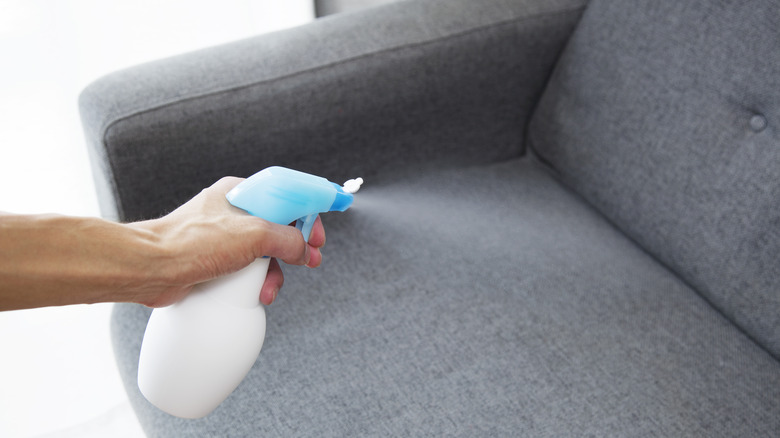 spray bottle spritzing gray couch