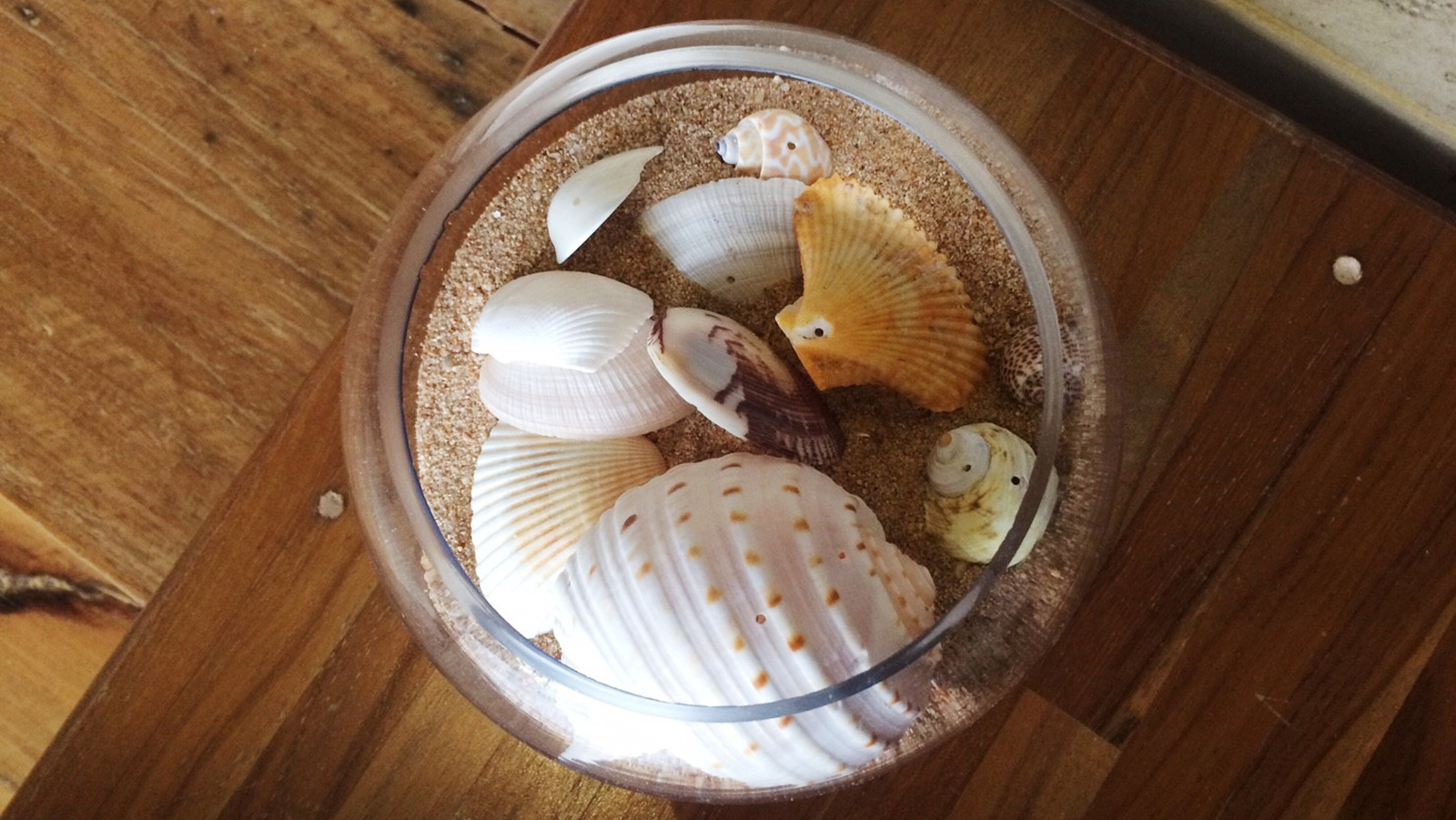 How To Turn Your Summer Seashells Into Cute Table Dishes