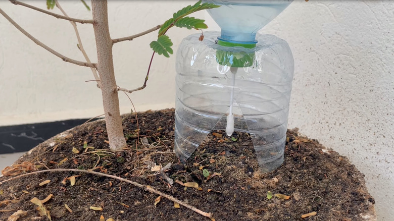 DIY cotton swab drip system