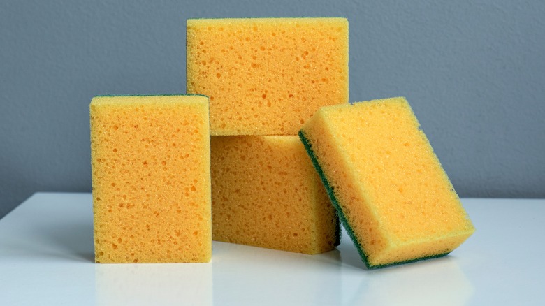 Sponges on table