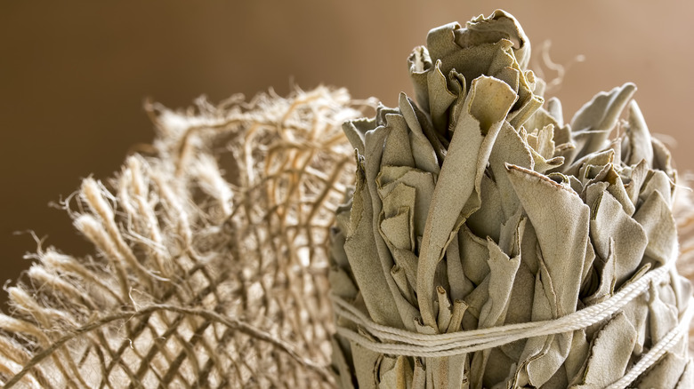 Dried white sage in burlap