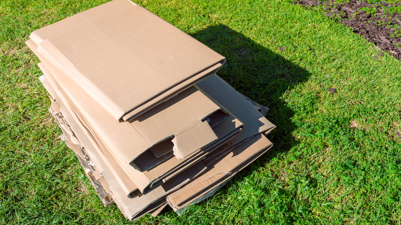 stack of cardboard on lawn