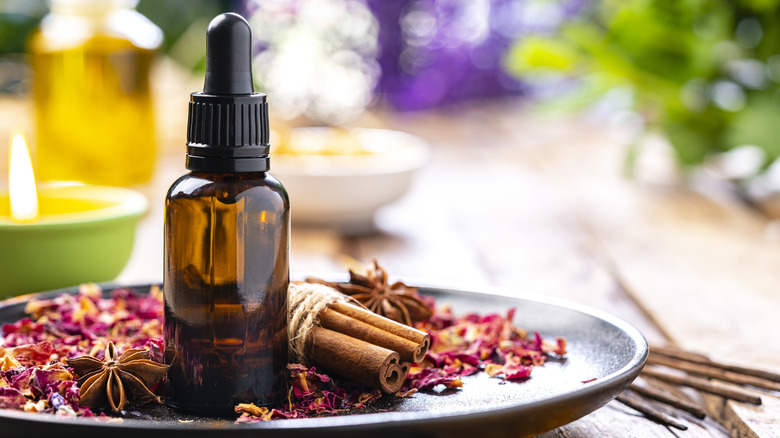 Essential oil with cinnamon stick