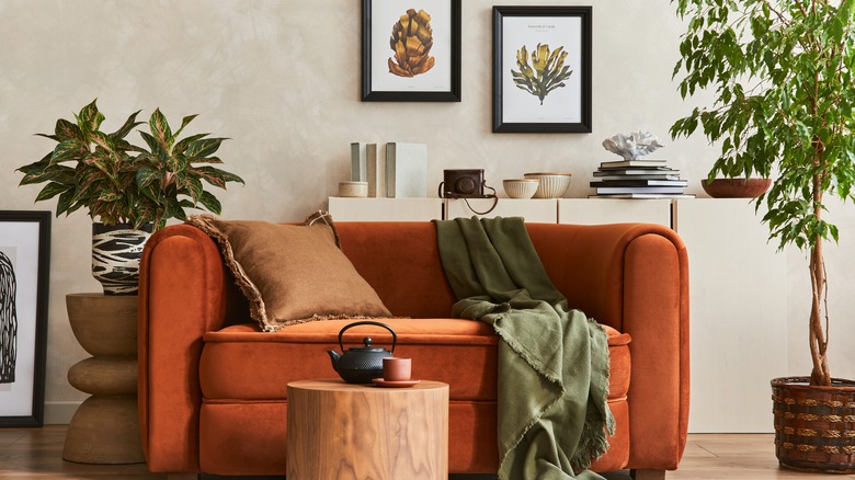 unique shelf decor behind orange sofa