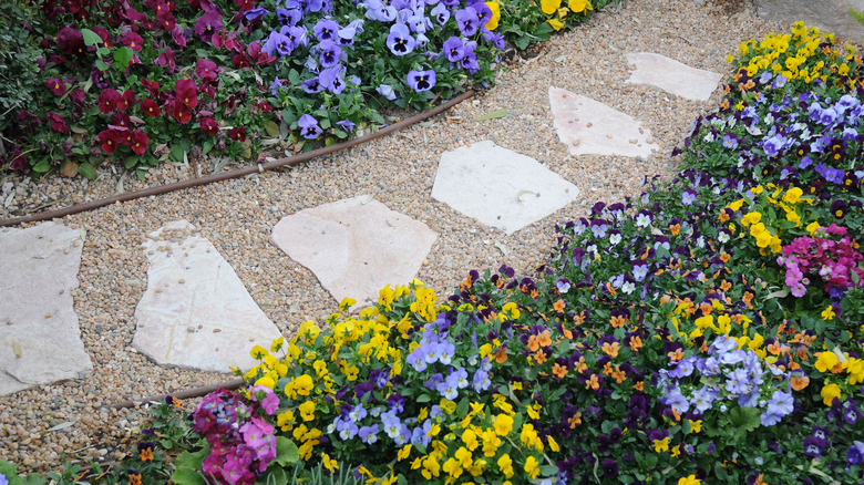 Gravel walkway between flower beds