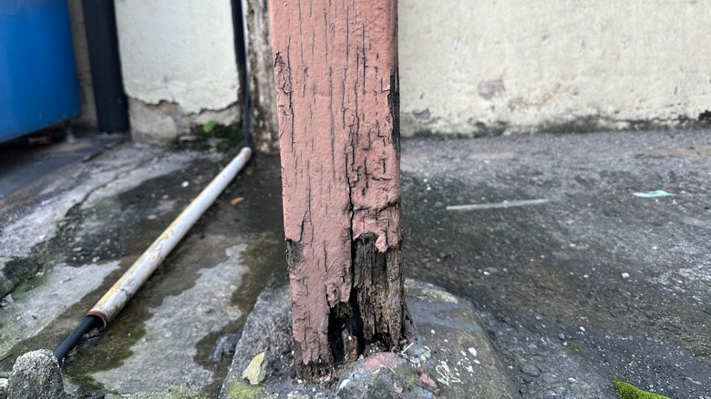 A rotting wood post set in concrete