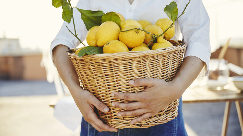 person holding basket of lemons