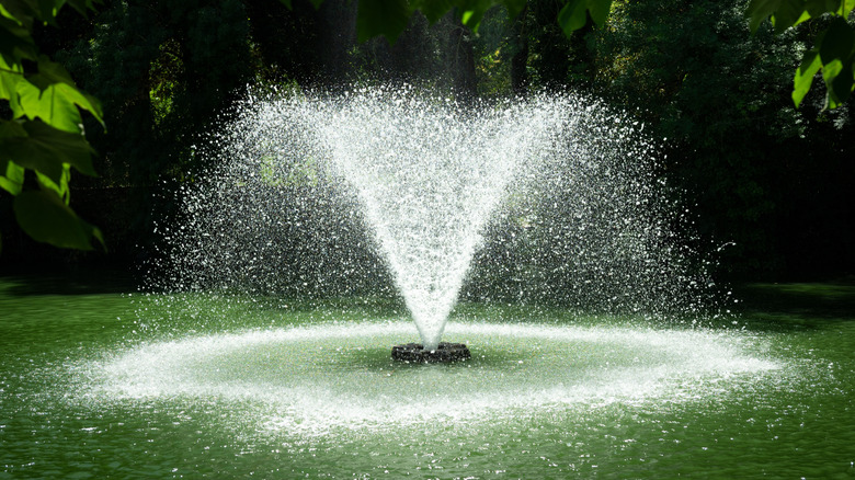 An impressive fountain spews water in the middle of a pond