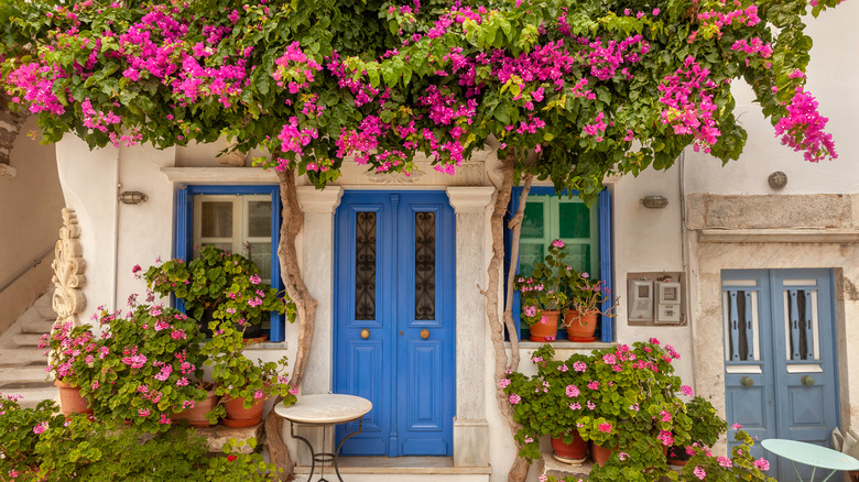 beautiful vintage blue door on house