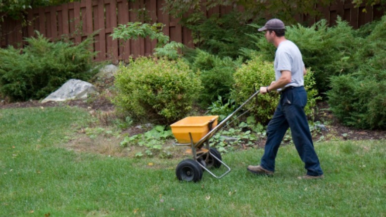 Man using fertilizer spreader 