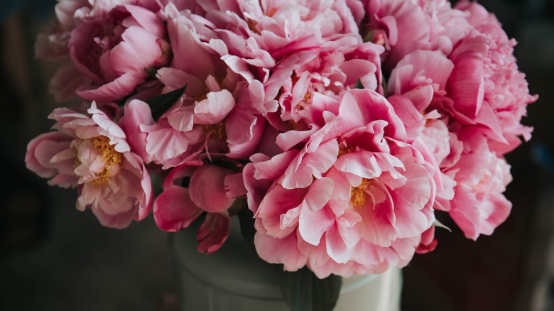 mauve peonies in a vase