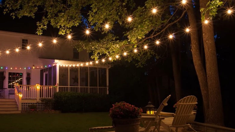 string lights hanging from tree