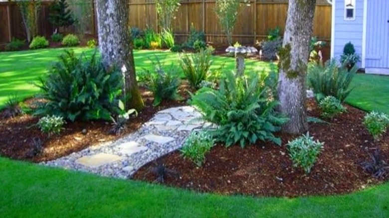 stone and gravel pathway between trees