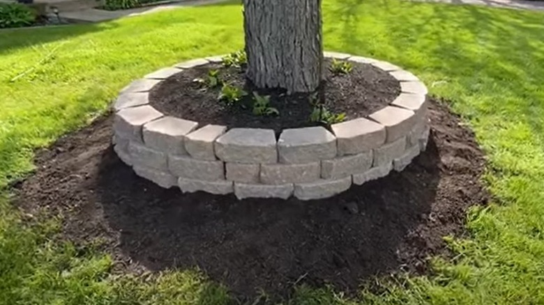 stone retaining wall tree ring