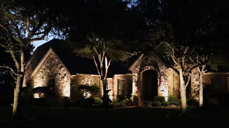 front yard with tree uplighting