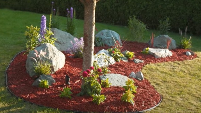 large rocks red mulch around tree