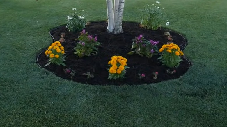 mulch around tree with flowers