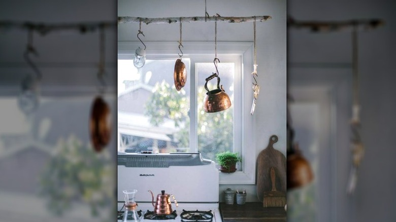 Tree branch hanging above stovetop