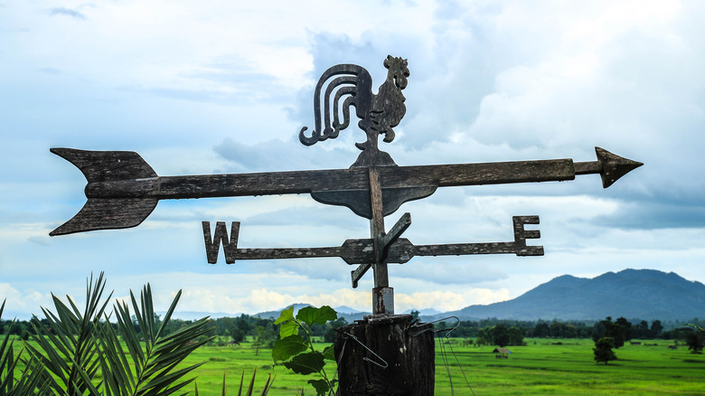 Rooster weather vane in field