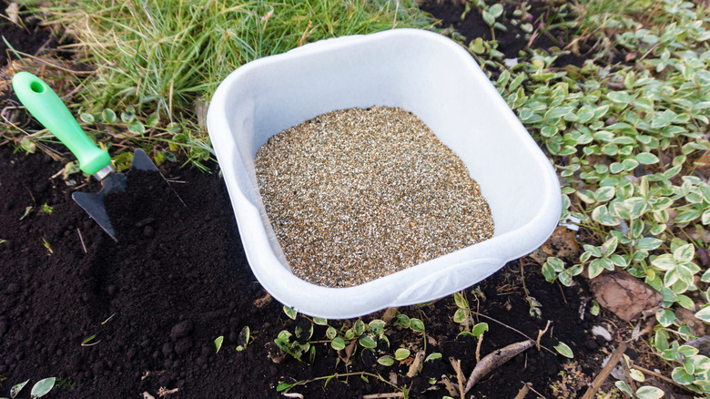 dish filled with vermiculite in garden