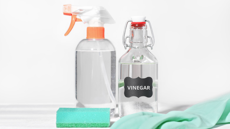 Vinegar in spray bottle