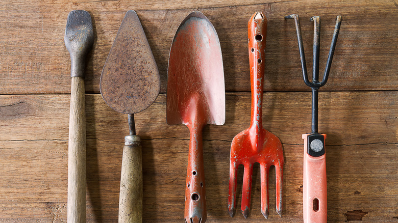 Rusty garden tools