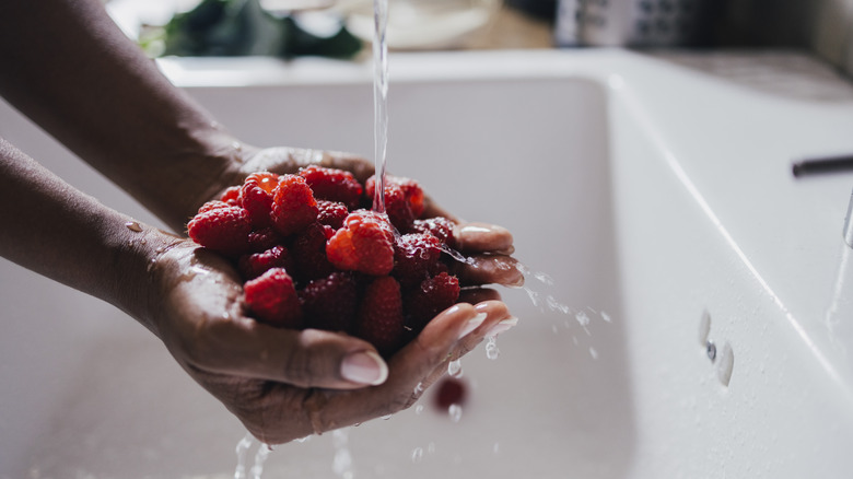 Person washing berries under kitchen faucet