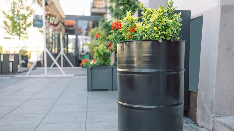 Small garden on barrel