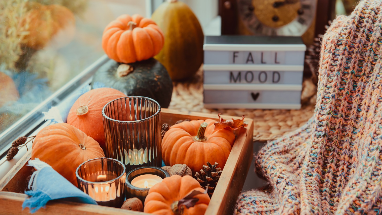 Fall Home Decor Favorites