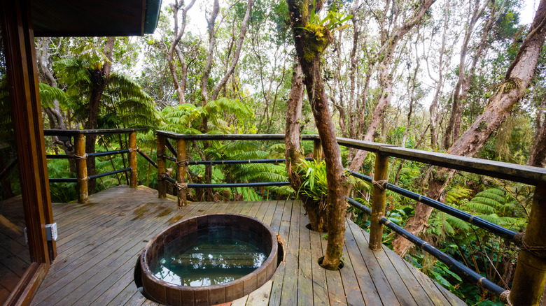 Luxury treehouse in Hawaii.