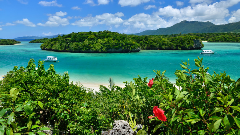 green Ishigaki island in Japan