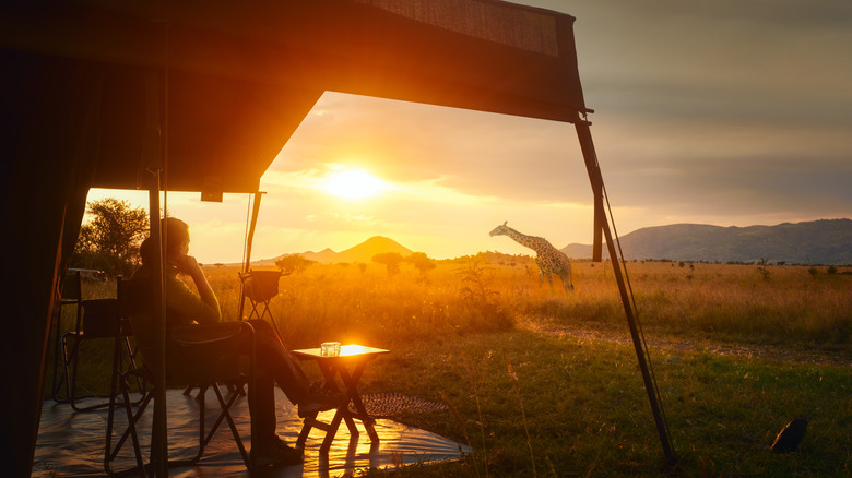 Sunset over the African safari