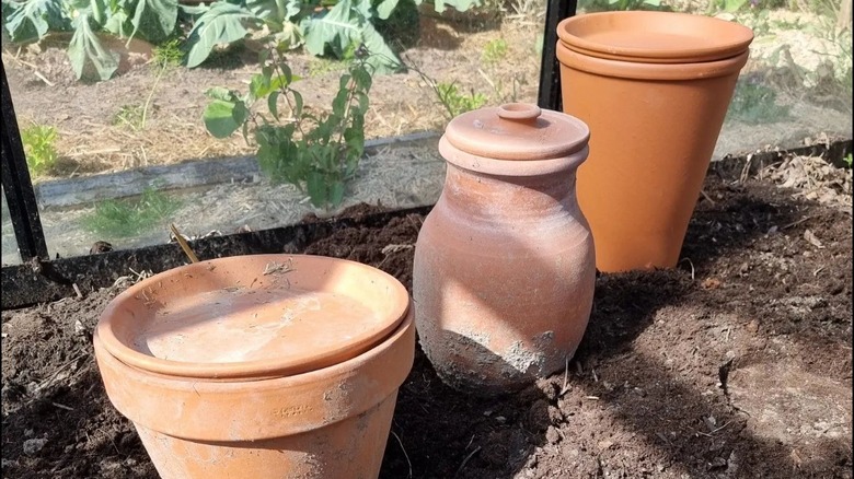 Olla pots in garden