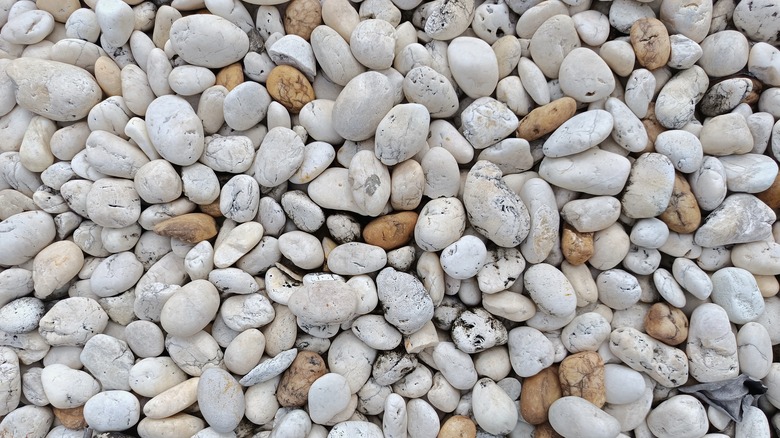 pile of white and tan small decorative rocks