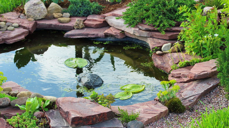 Backyard pond with rock overhang