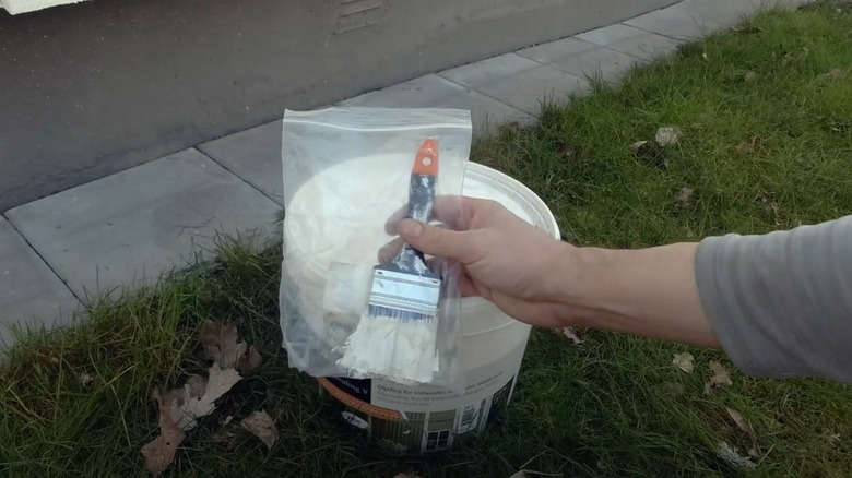 paintbrush in plastic bag